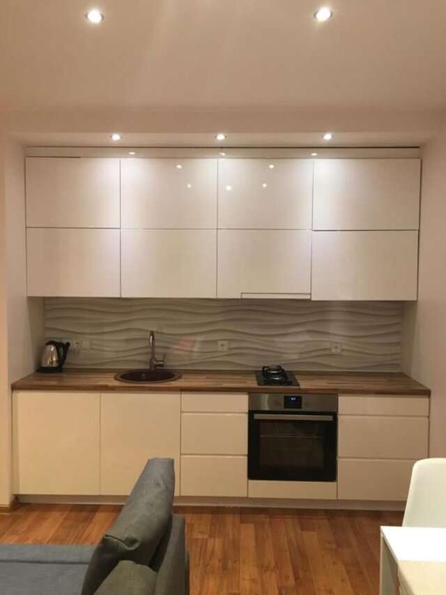Апартаменты Studio apartment Вильнюс-13